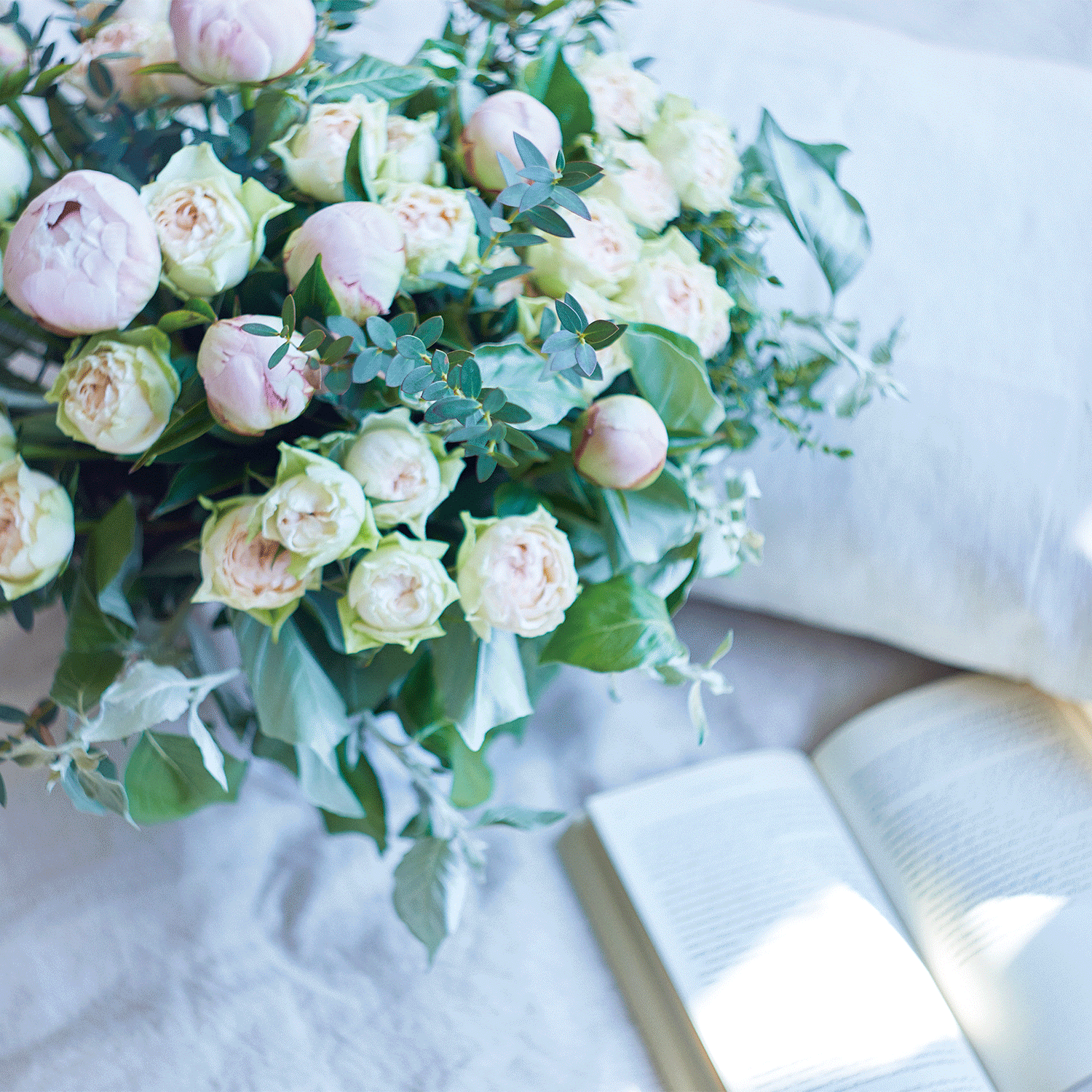 花咲く寝室、花咲く眠り