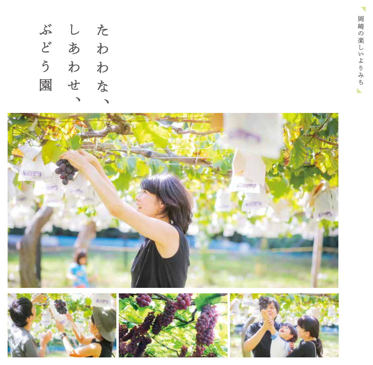 【岡崎の楽しいよりみち】たわわな、 しあわせ、 ぶどう園