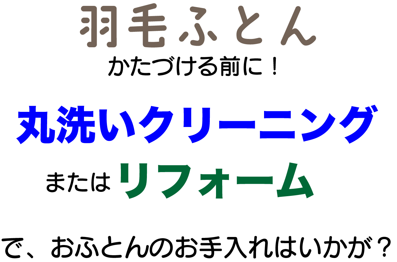 2025年4月 チラシ情報【羽毛ふとんクリーニング・リフォーム】の季節です!
