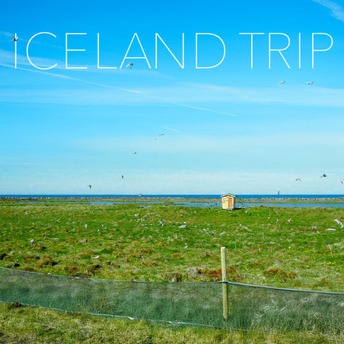 羽毛の最高峰 アイダーダックのふるさとへ