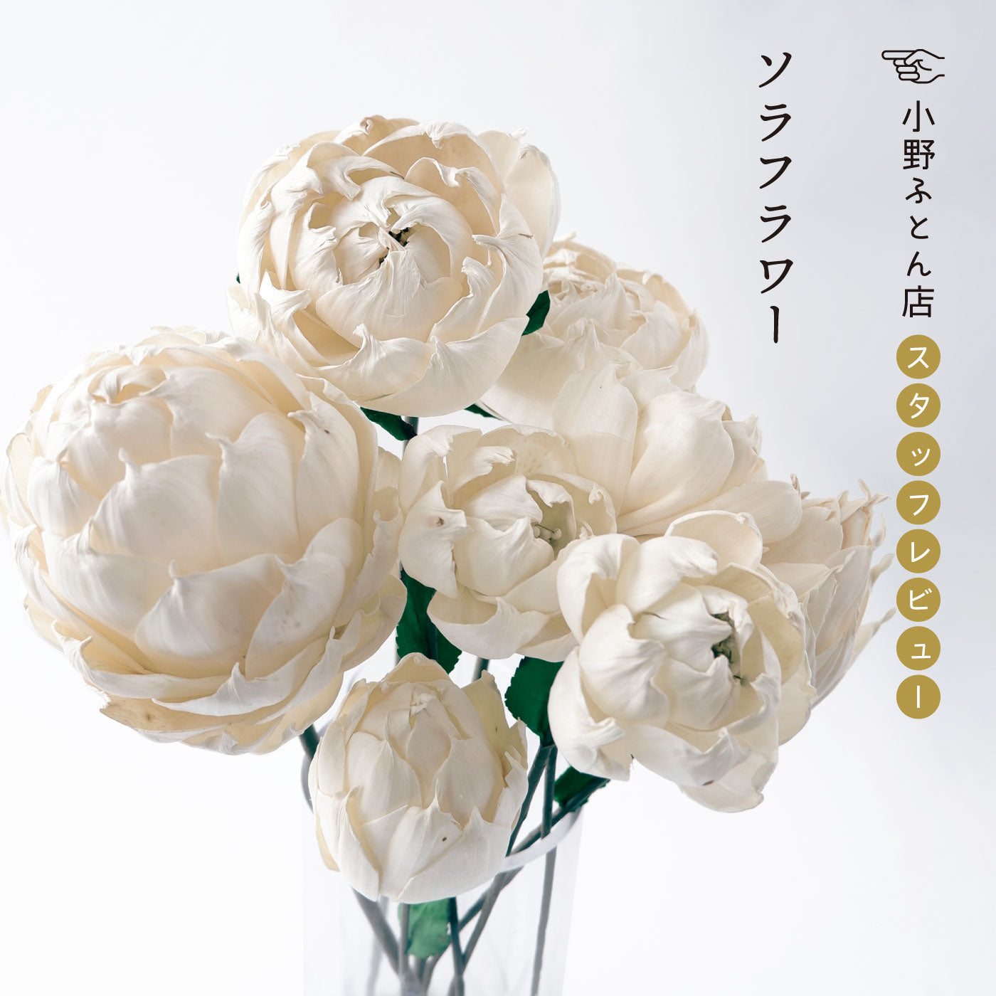 小野ふとん店 スタッフレビュー「ソラフラワー」