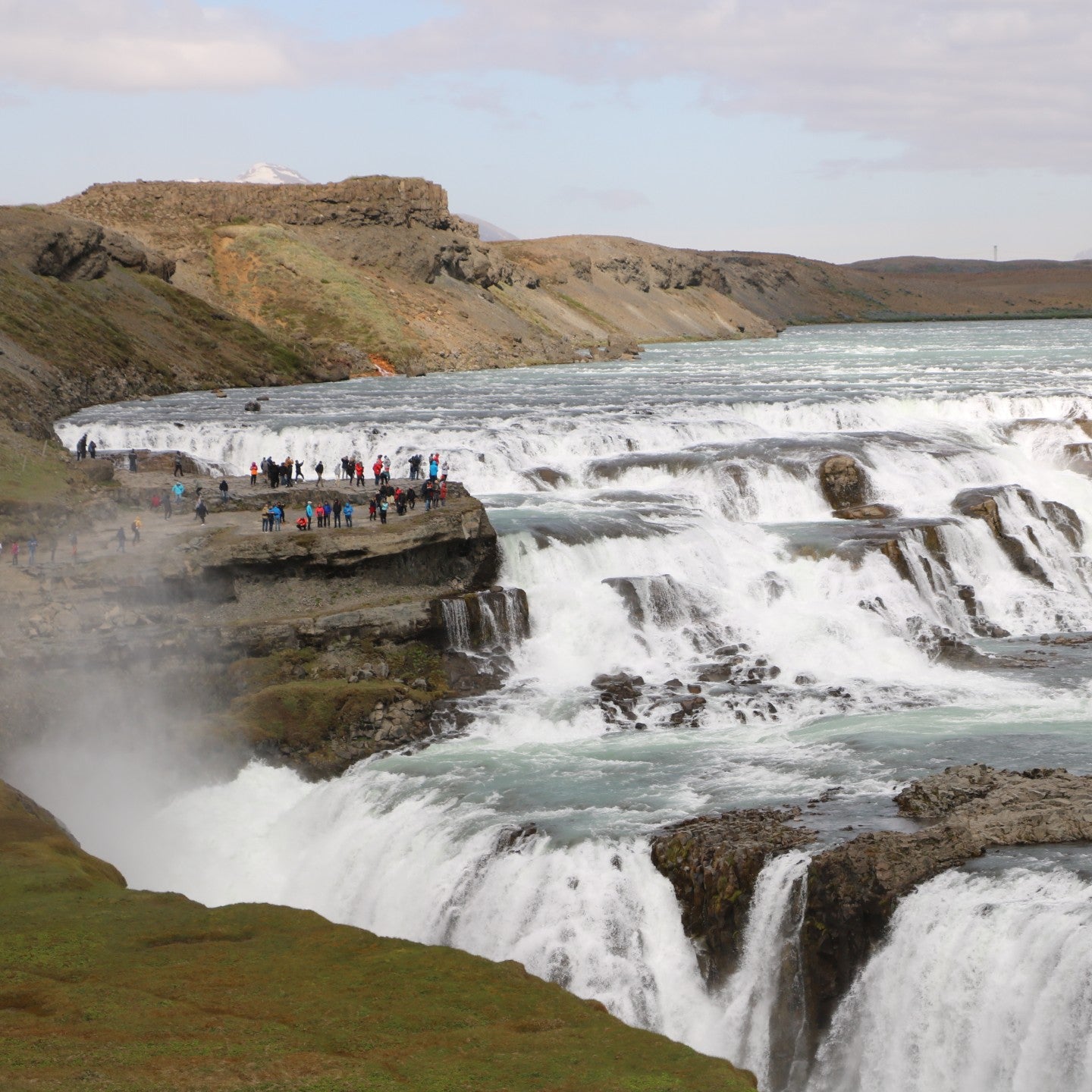 アイダーダックが 生まれる生まれる国へ、島へ