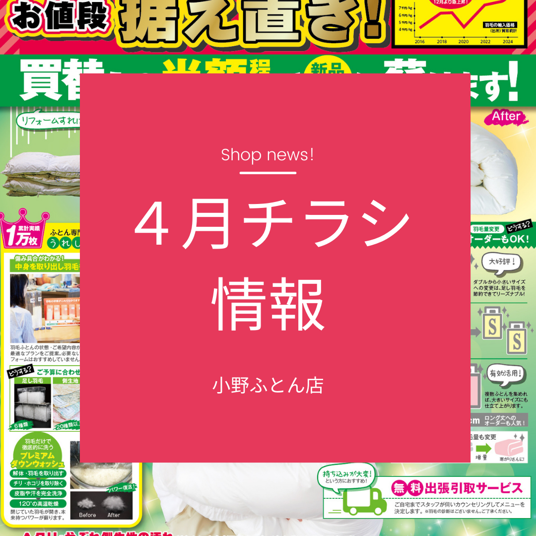 2024年4月チラシ情報