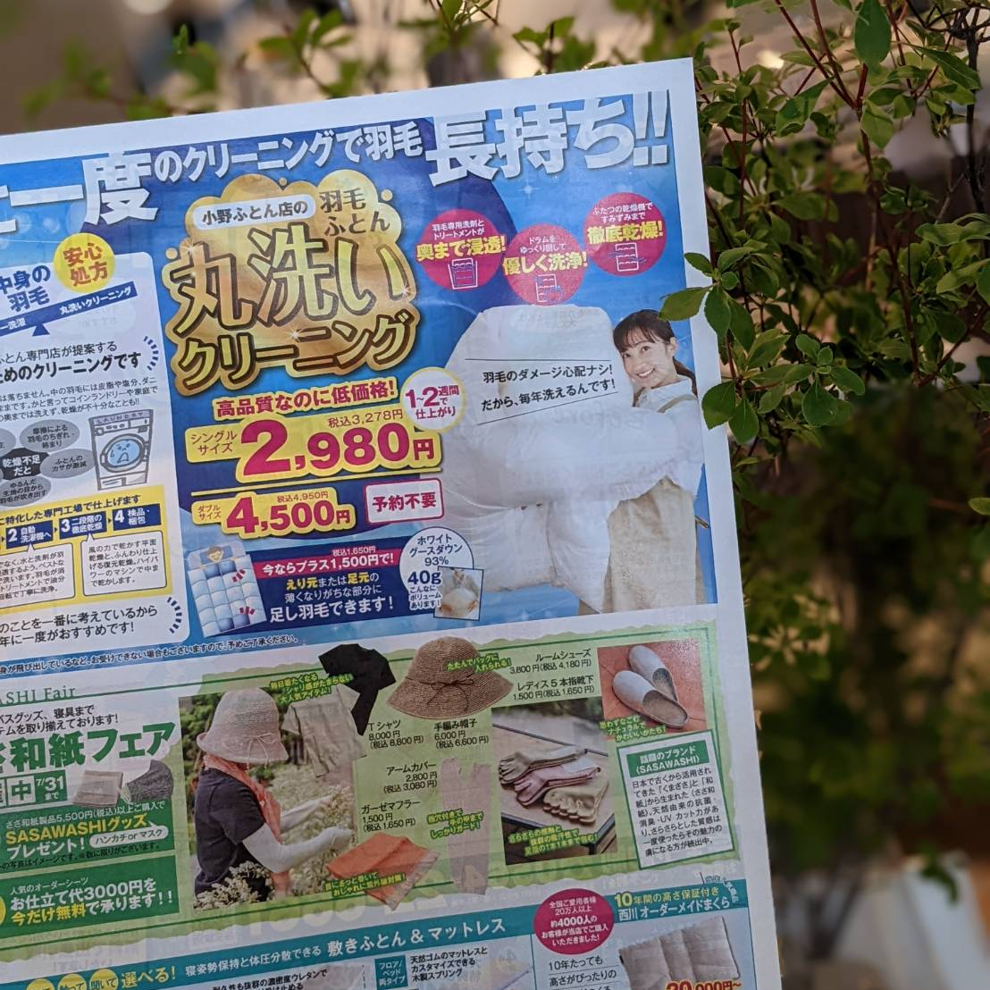 2022年6月 チラシ情報