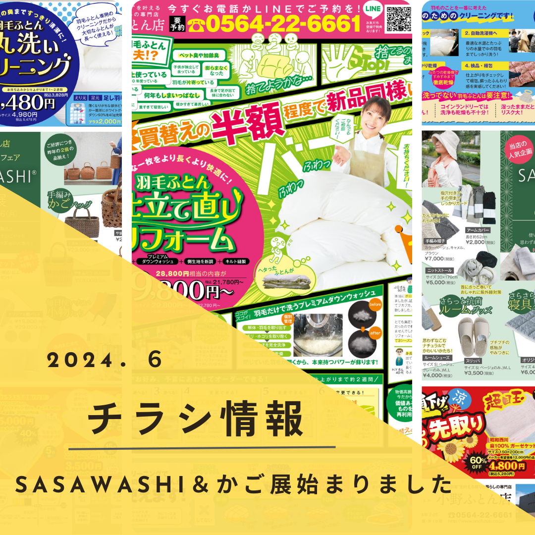 2024年6月チラシ情報