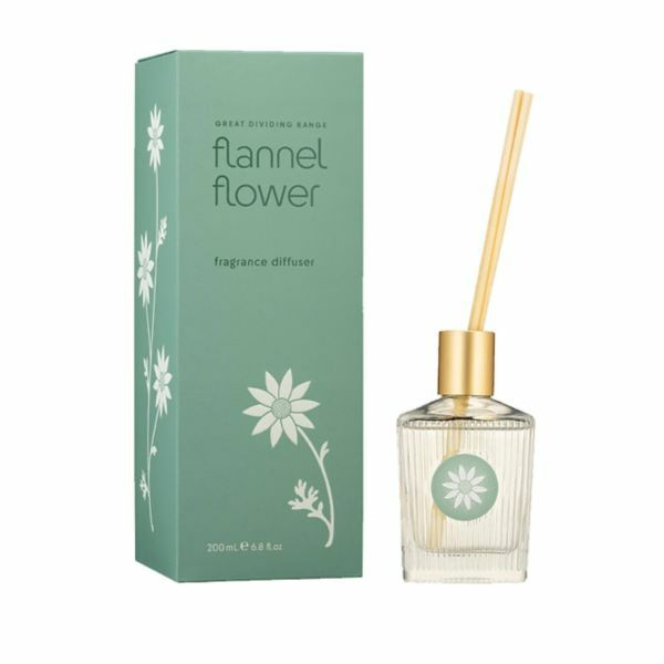 ディフューザー (フランネルフラワー)