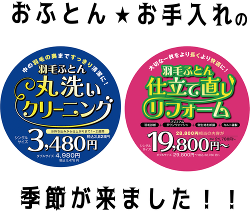 2025年5月チラシ情報　【おふとん、お手入れの季節です！】羽毛ふとんリフォーム・クリーニングはいかが？
