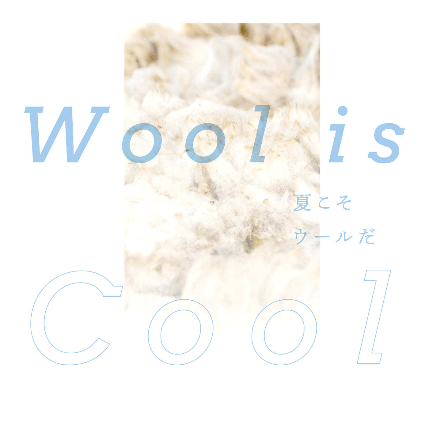 Wool is Cool　 夏こそウールだ　No.1